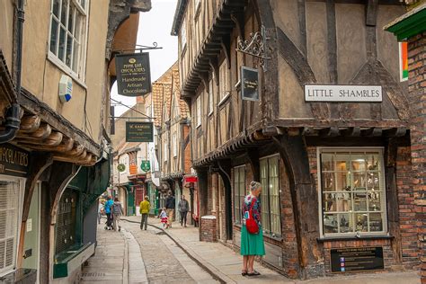 my york sign in.
